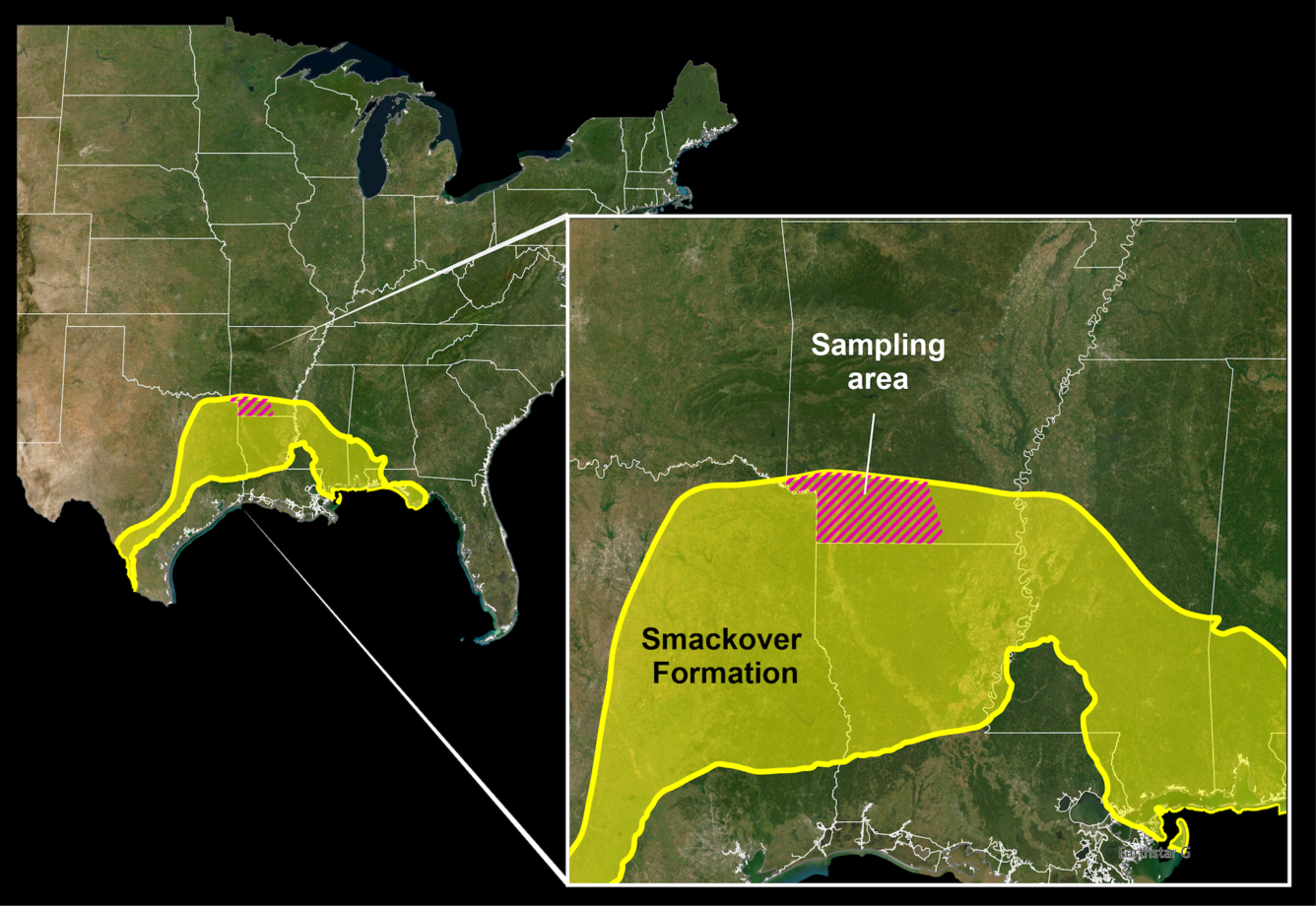 USGS Arkansas lithium map